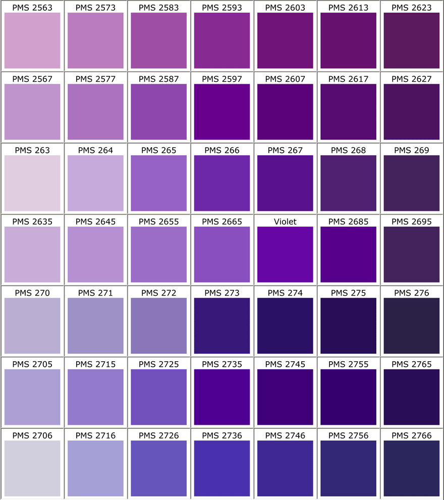 Pantone Colors Violet XL 1